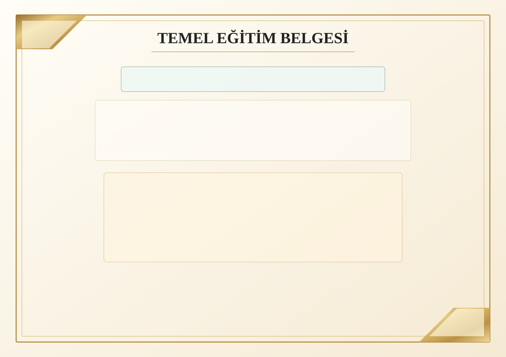 Standart sertifika önizlemesi